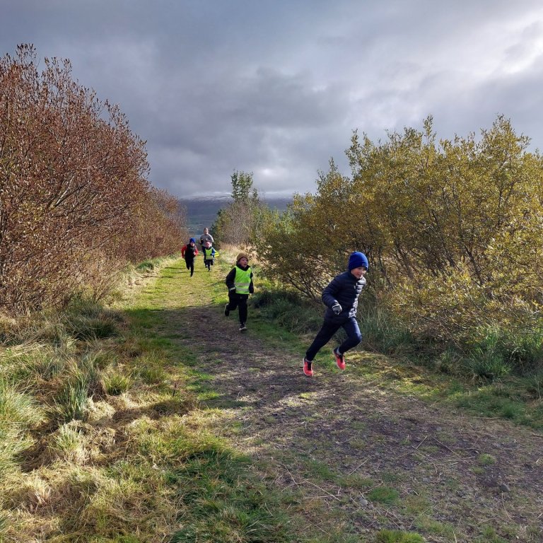 Ólympíuhlaup ÍSÍ í Hálsaskógi